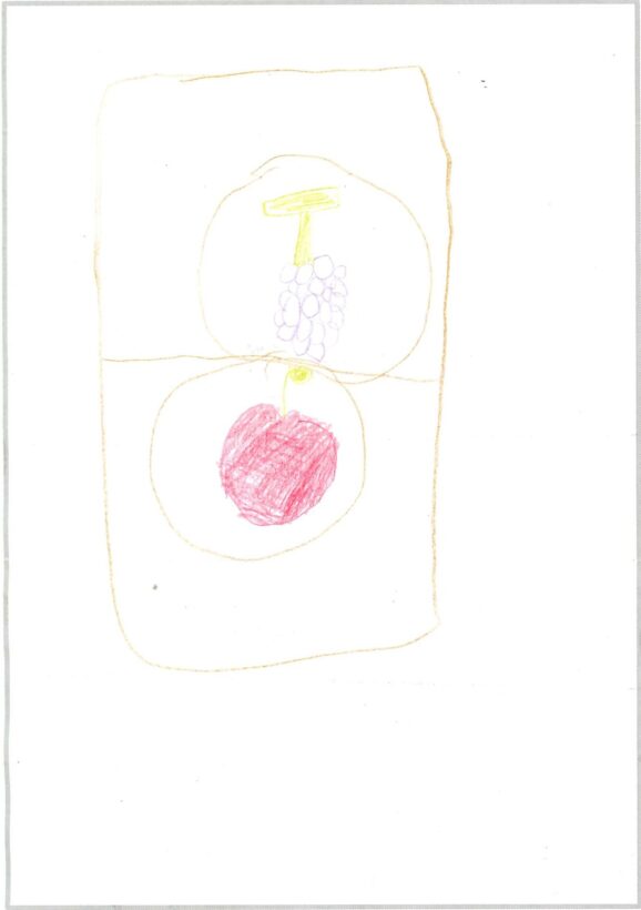 ym26 ぶどうとりんごです。