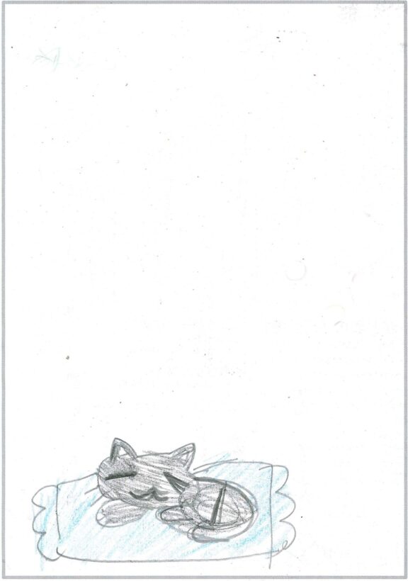 ym93 ペットのねこ、ぶっちゃん